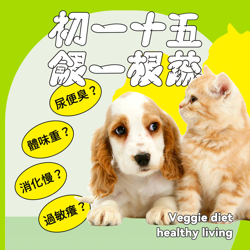 餵根蔬vegansu 主食飽 冷凍乾燥鮮食