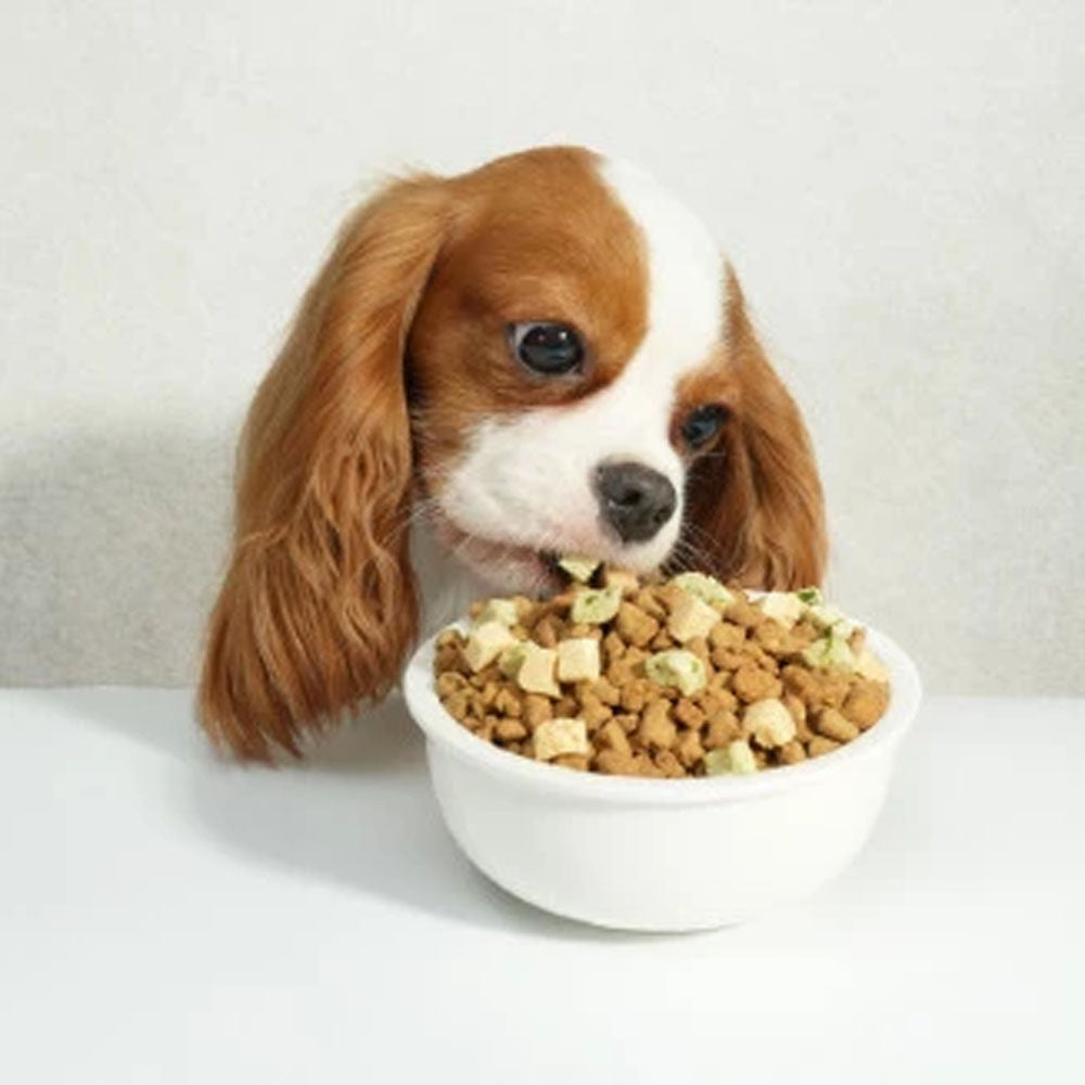 汪喵星球 犬用 慢烘鮮食蔬肉糧 狗狗鮮食 狗鮮食 犬鮮食 犬糧