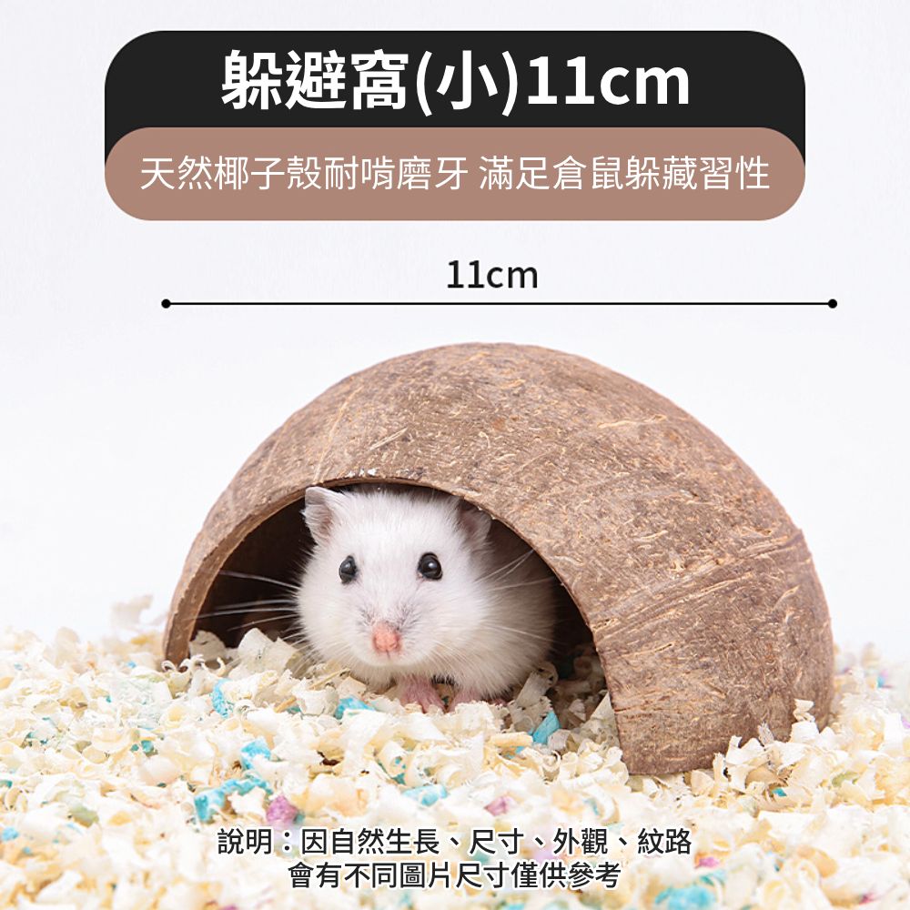 YEE椰殼倉鼠窩 倉鼠躲避屋 倉鼠椰子窩 天然椰子殼 倉鼠磨牙小屋 倉鼠籠內造景 倉鼠吊窩 倉鼠空中爬梯