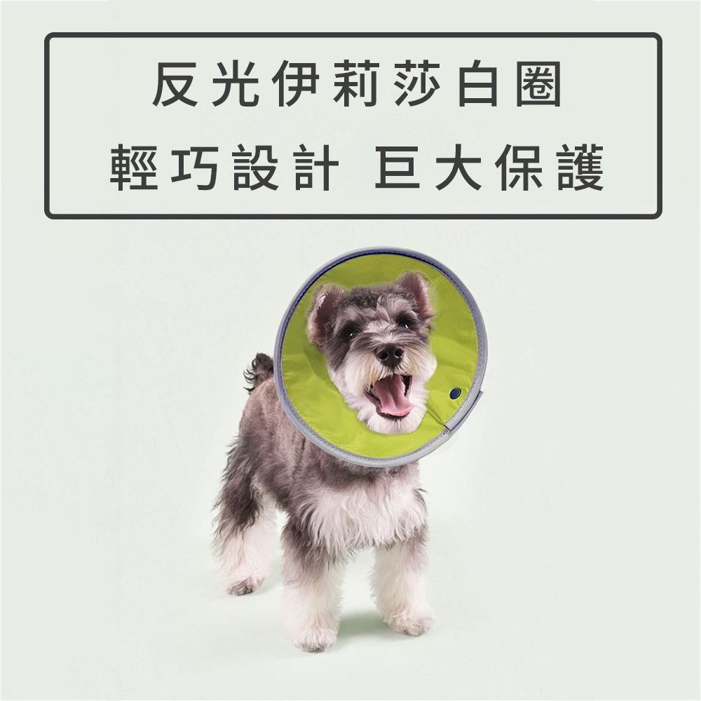 SHAME反光伊莉莎白圈 伊麗莎白圈 貓咪 防舔咬 頸圈 寵物 絕育 項圈 狗狗 術後 傷口 護理 項圈
