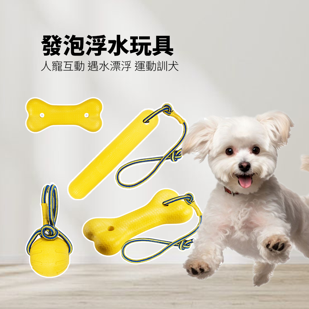 BIIITE 浮水耐咬玩具 寵物 玩具球 狗狗 浮水 訓犬 耐咬 磨牙 寵物球 穿繩球