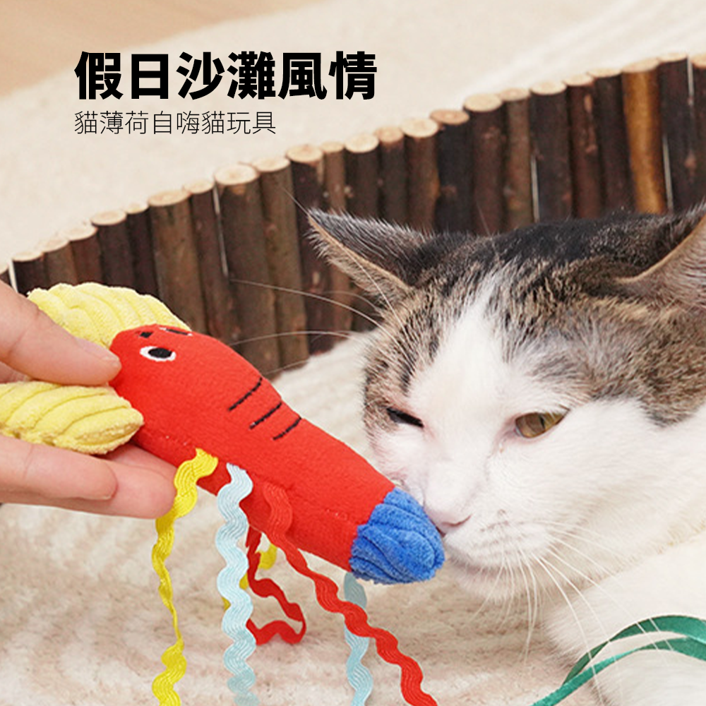 卡啦酷寵 假日衝浪貓玩具 貓咪玩具 自嗨解悶 貓薄荷 耐咬 幼貓磨牙 逗貓棒 寵物用品 貓咪玩具套裝