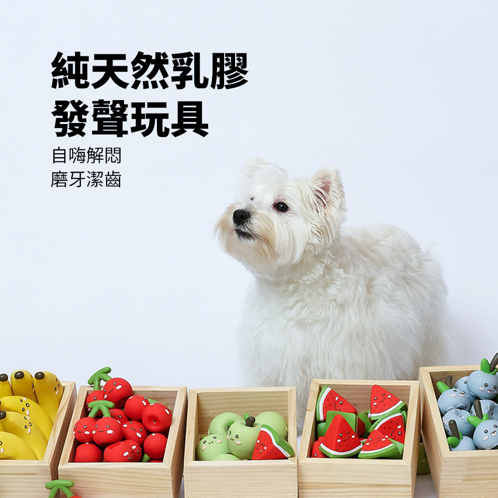 Roroarrr 天然乳膠發聲玩具 水果系列 狗玩具 可愛造型 天然玩具 安全玩具 水果造型