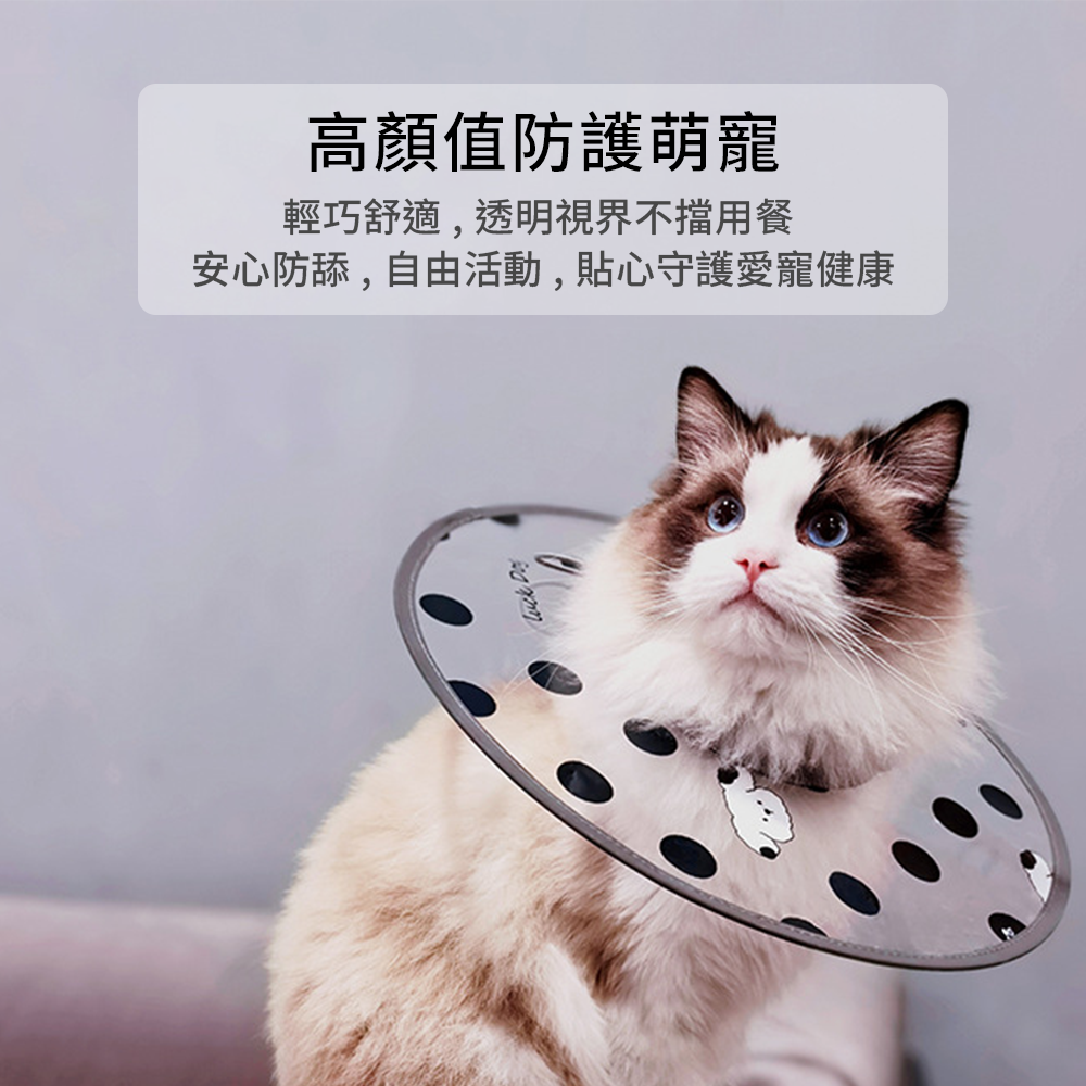 SHAME 印花透明伊莉莎白圈 貓咪 伊麗莎白圈 時尚 印花 透明PVC 狗狗 絕育 防舔咬 護理項圈 寵物用品