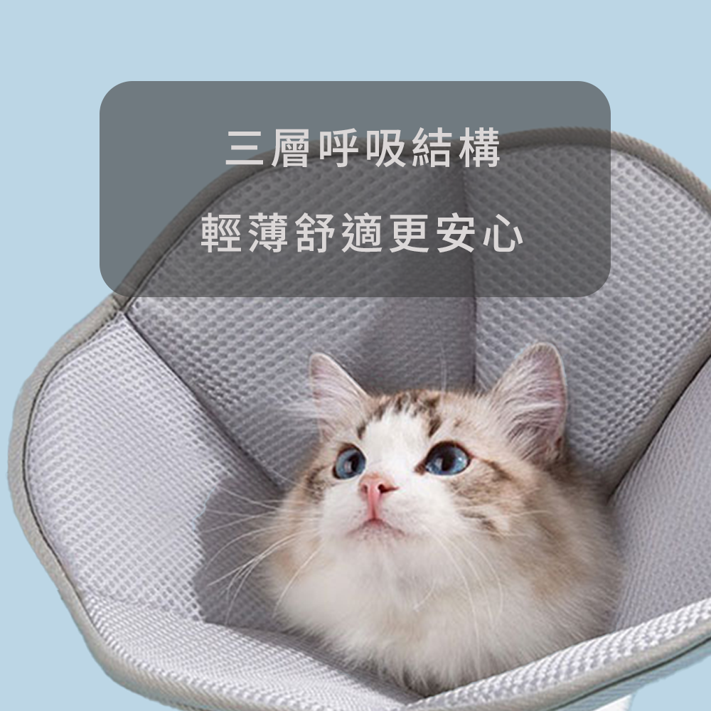 SHAME 透氣反光伊莉莎白圈 寵物 伊麗莎白圈 貓狗 防咬 防抓 保護套 透氣 沖孔 網布 美容罩 貓頸圈 項圈