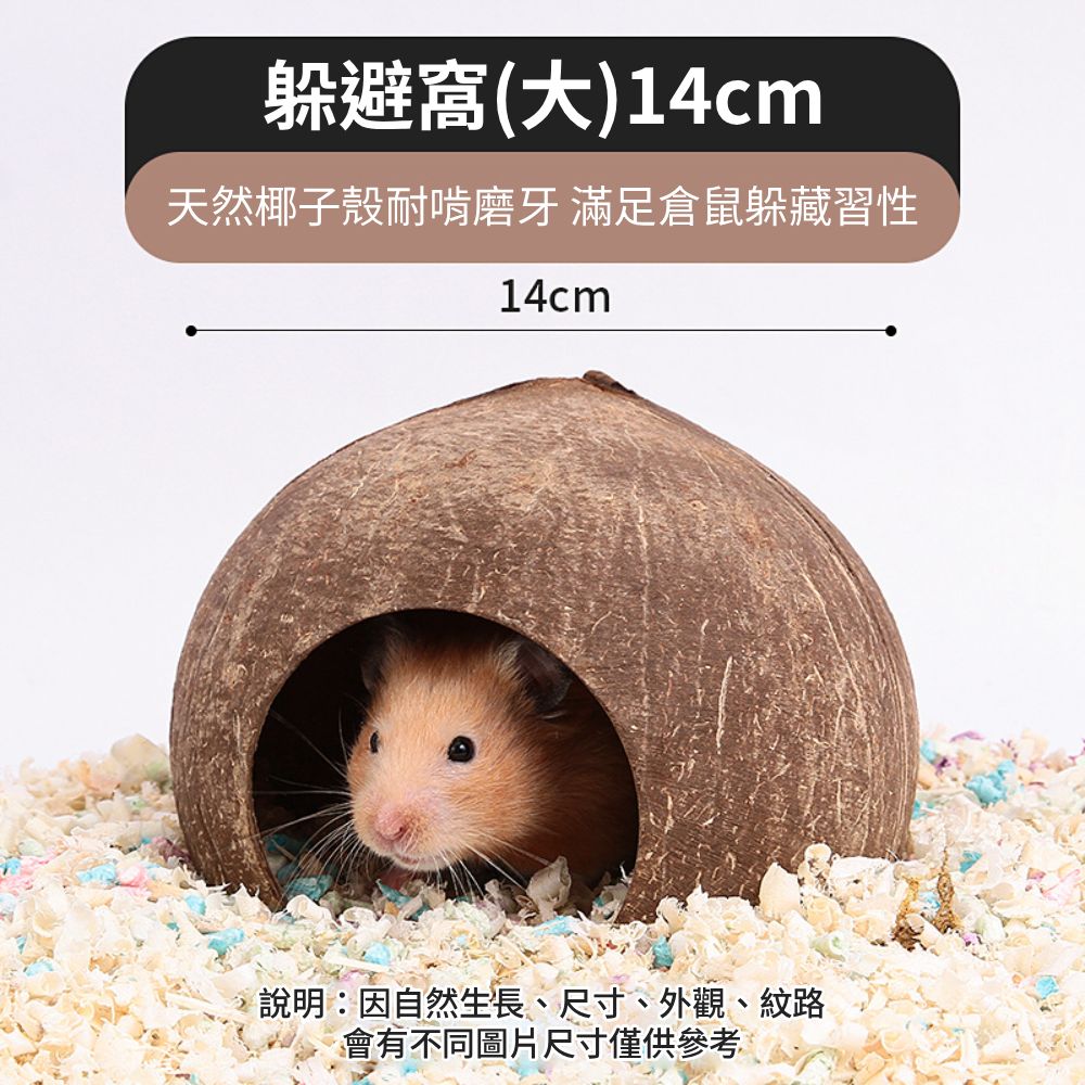 YEE椰殼倉鼠窩 倉鼠躲避屋 倉鼠椰子窩 天然椰子殼 倉鼠磨牙小屋 倉鼠籠內造景 倉鼠吊窩 倉鼠空中爬梯