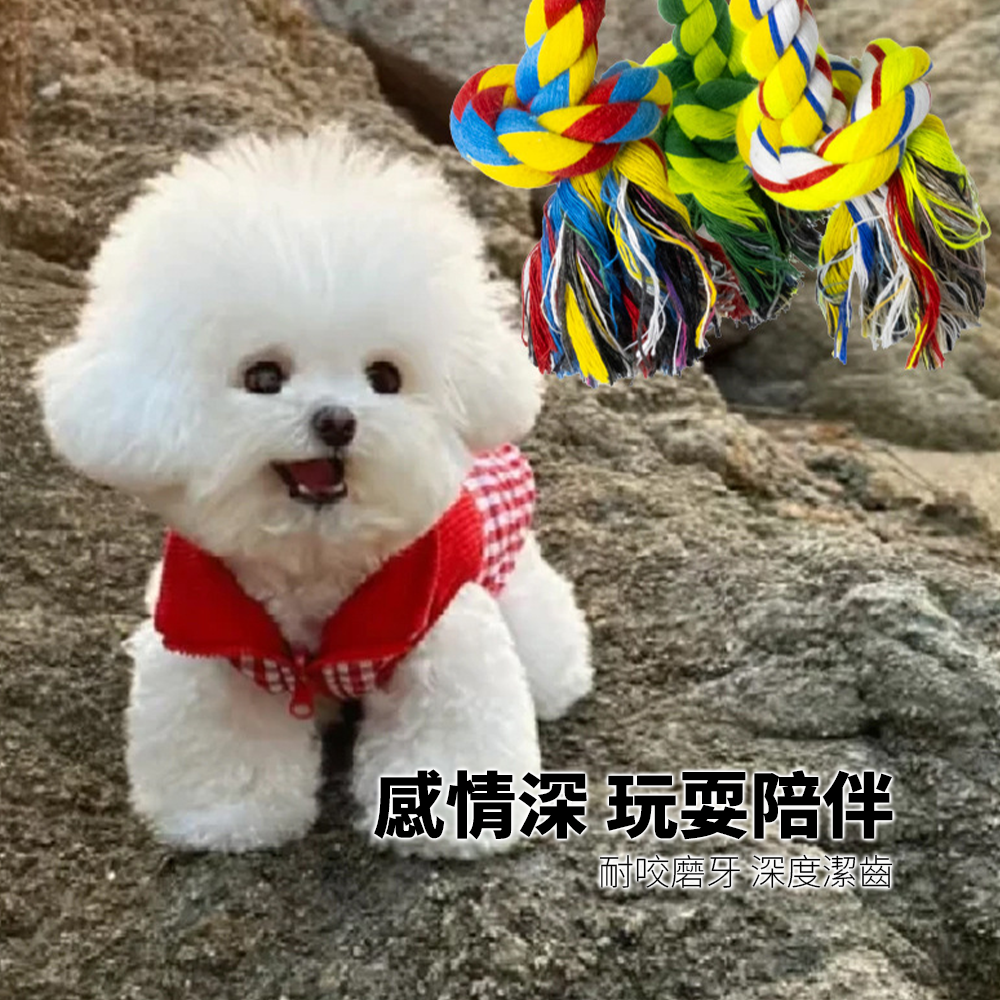ROOOPE 手工棉繩 中小型犬 寵物棉繩 寵物狗玩具 磨牙潔齒 狗狗專用拉扯玩具 批發狗咬耐用款