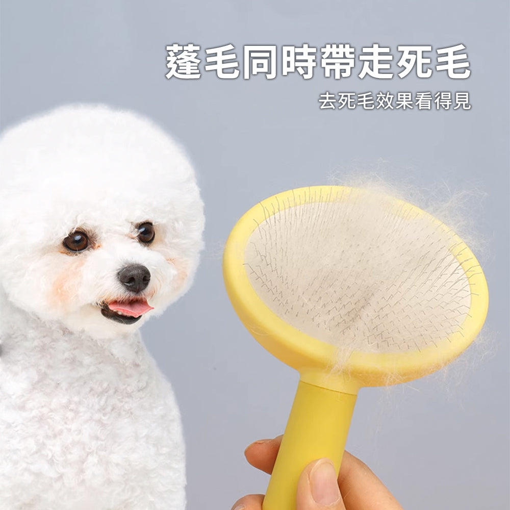 Sloppup 馬卡龍橢圓梳 狗狗梳毛專用梳子 毛髮美容梳 寵物解結去浮毛造型梳