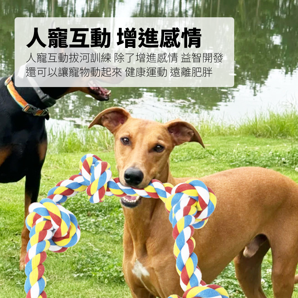 ROOOPE 手工棉繩 中大型犬 大狗狗玩具 寵物磨牙咬繩結 編織五結 寵物玩具 耐咬不易壞