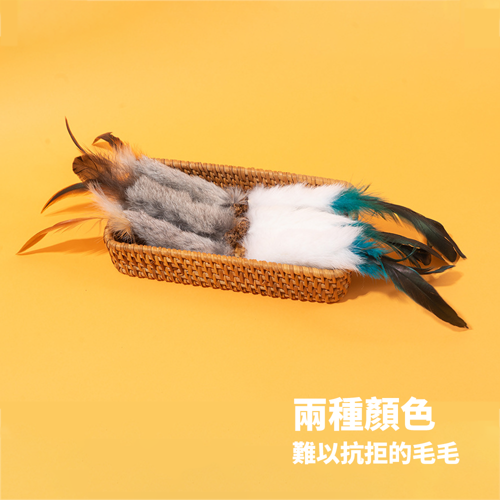 AHWOO 兔毛 蟲癭果 咬咬貓 玩具 貓玩具 天然兔毛蟲 癭果 羽毛 磨牙 啃咬 自嗨 解悶 自己玩 逗貓神器 貓咪