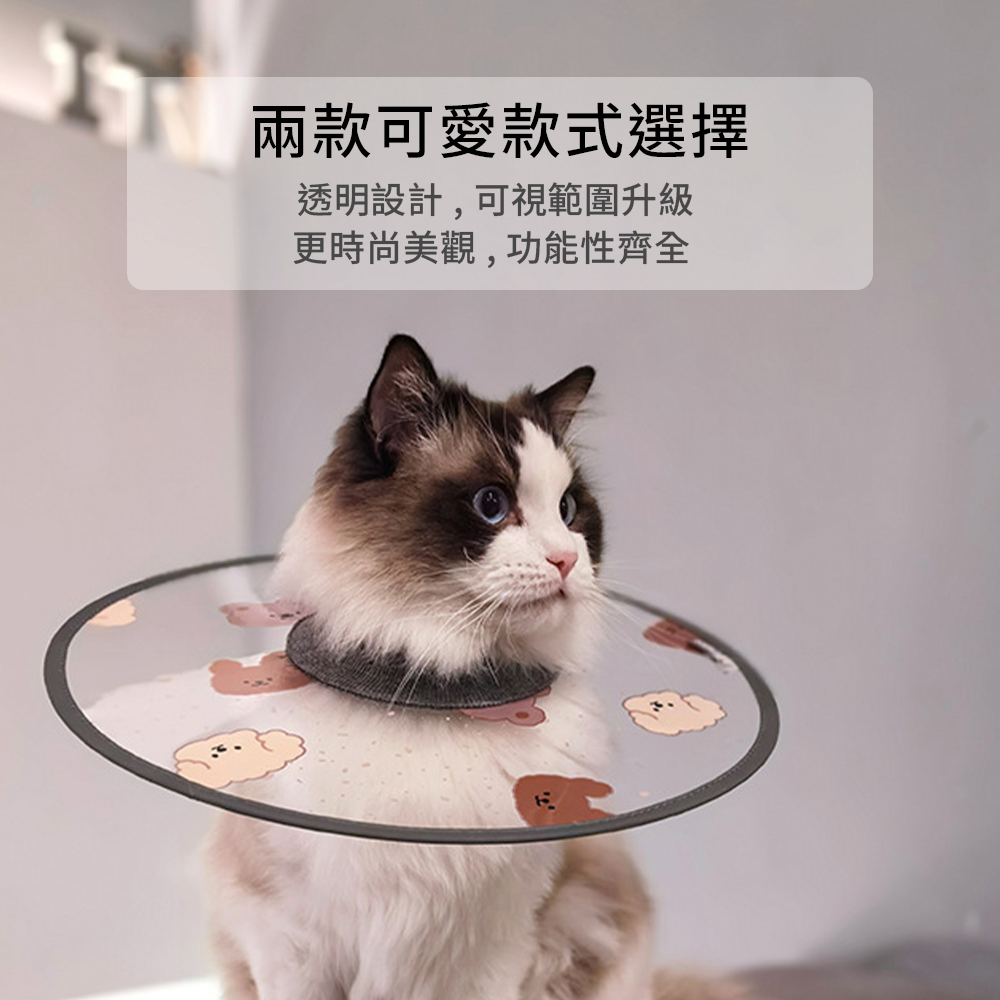SHAME 印花透明伊莉莎白圈 貓咪 伊麗莎白圈 時尚 印花 透明PVC 狗狗 絕育 防舔咬 護理項圈 寵物用品