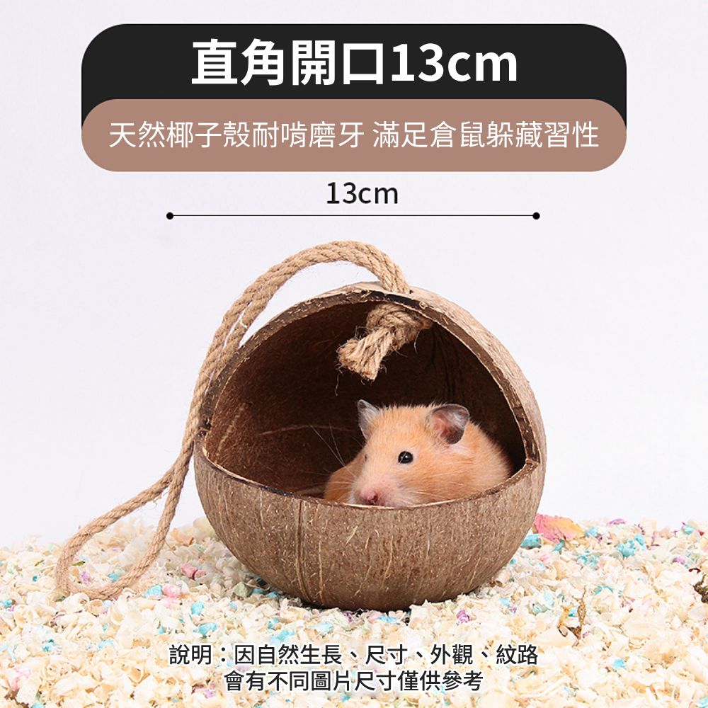 YEE椰殼倉鼠窩 倉鼠躲避屋 倉鼠椰子窩 天然椰子殼 倉鼠磨牙小屋 倉鼠籠內造景 倉鼠吊窩 倉鼠空中爬梯