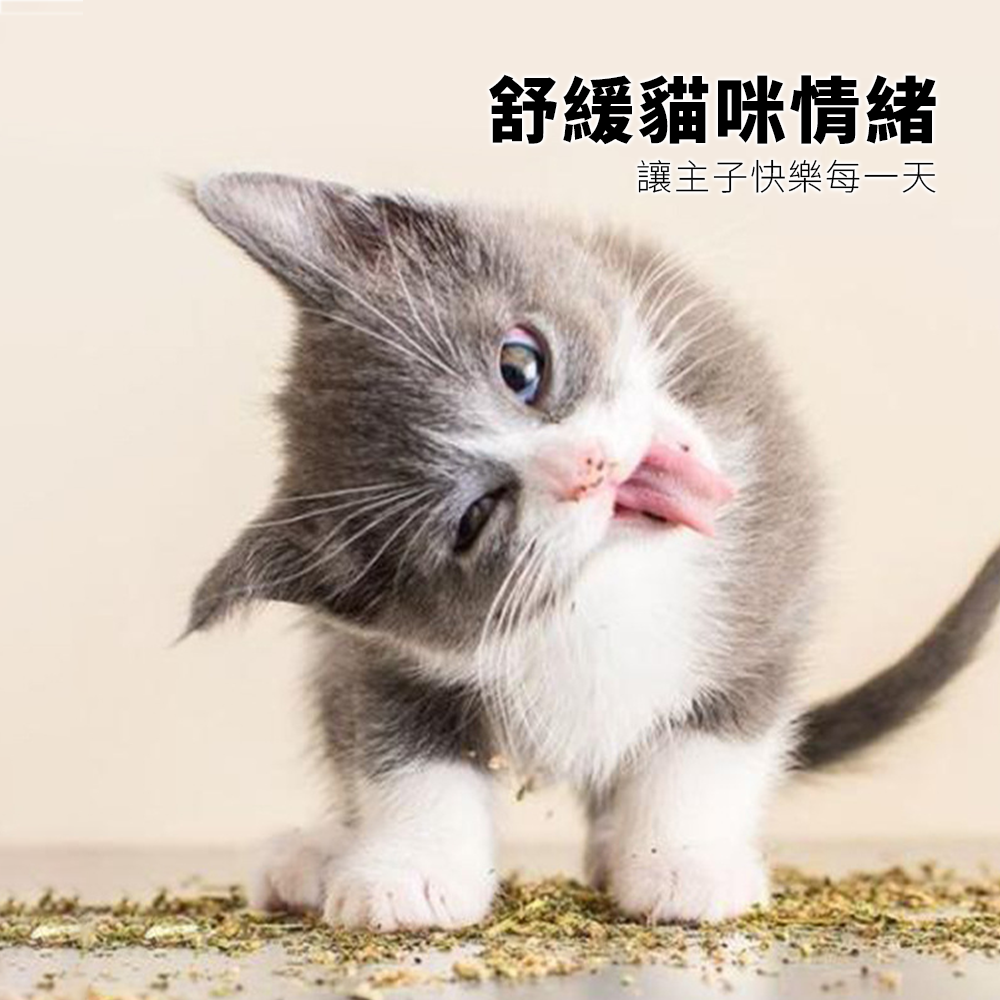 MIAOOO! 貓草玩具 全填充貓咪毛絨玩具 貓咪用品 薄荷玩具 貓咪自嗨 解悶好物