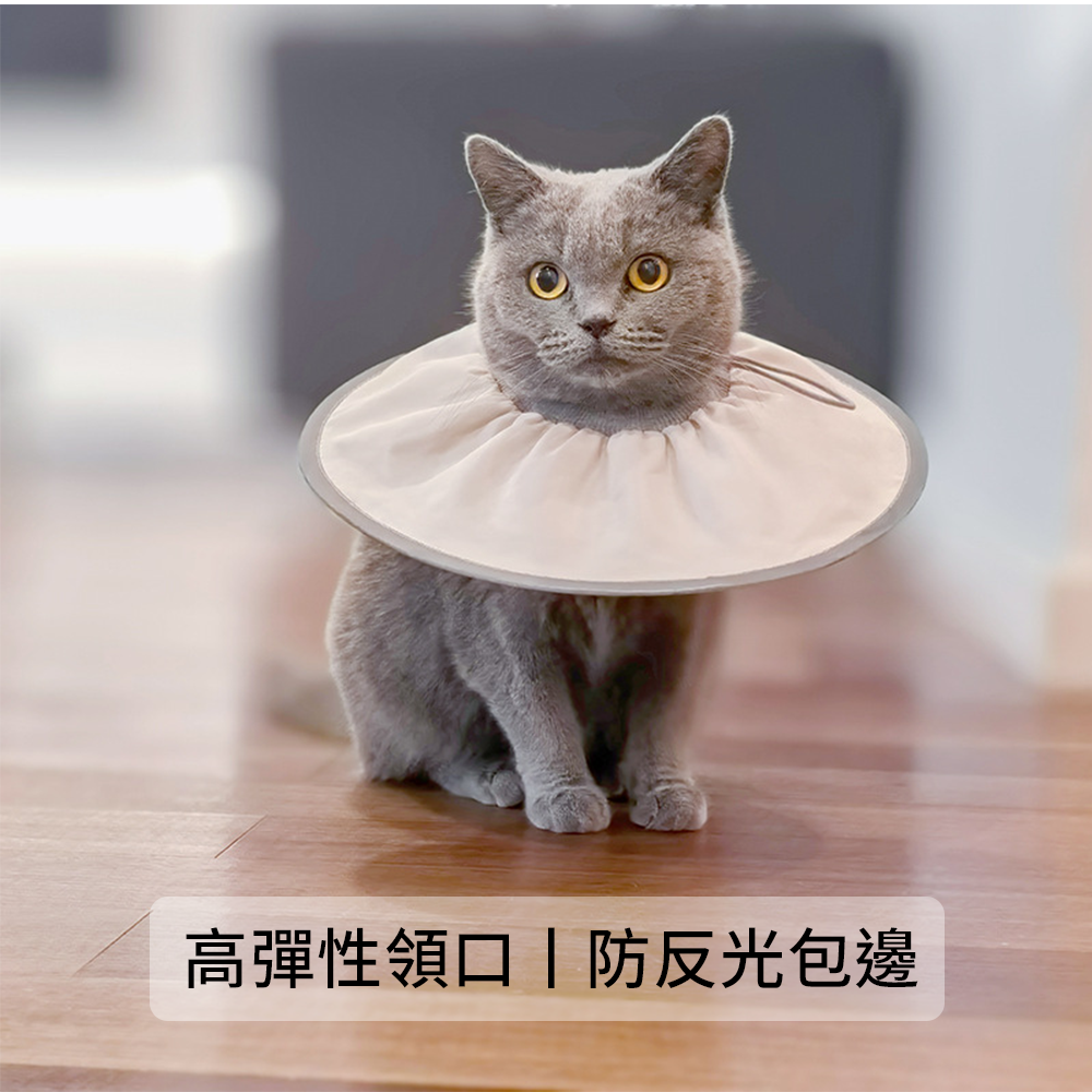 SHAME輕盈伊莉莎白圈 寵物 伊麗莎白圈 絕育 護理 項圈 貓咪 狗狗 美容 脖圈防 舔咬 小型犬頭套