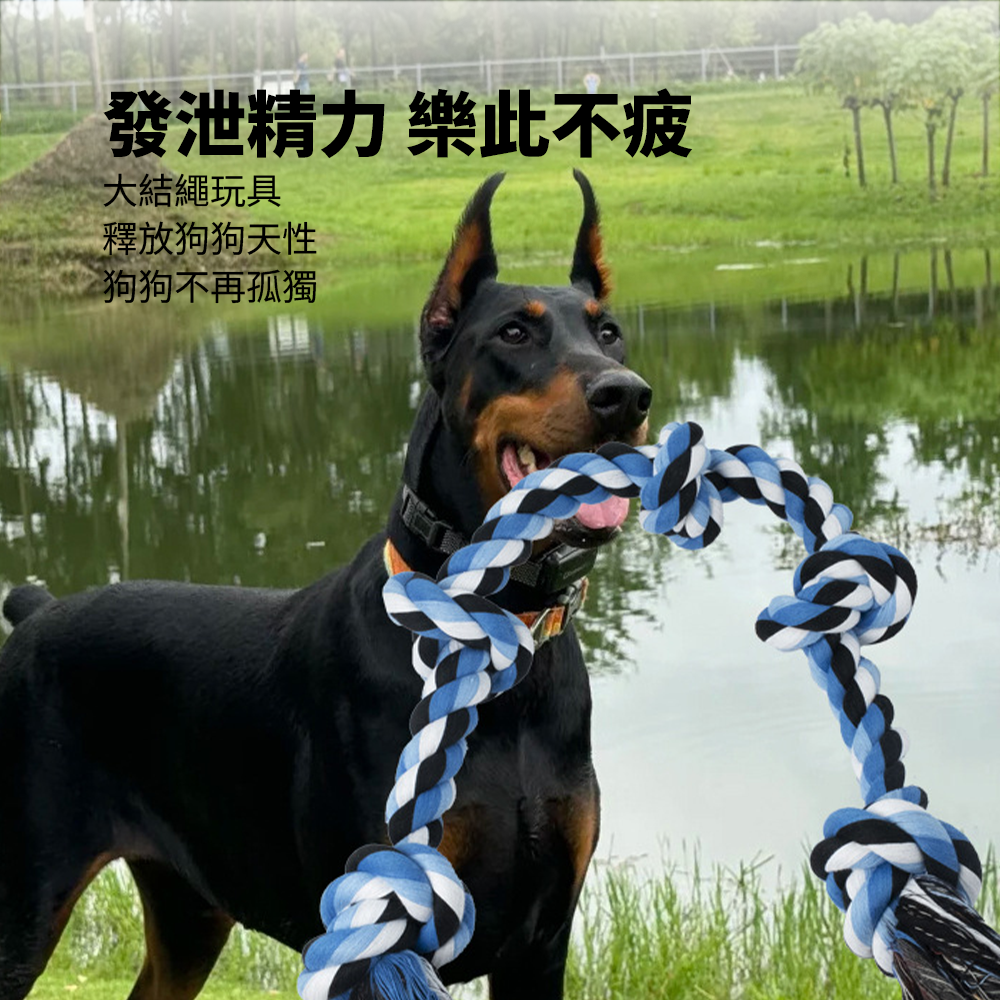 ROOOPE 手工棉繩 中大型犬 大狗狗玩具 寵物磨牙咬繩結 編織五結 寵物玩具 耐咬不易壞