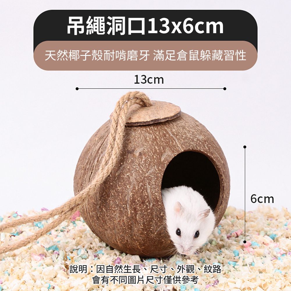 YEE椰殼倉鼠窩 倉鼠躲避屋 倉鼠椰子窩 天然椰子殼 倉鼠磨牙小屋 倉鼠籠內造景 倉鼠吊窩 倉鼠空中爬梯