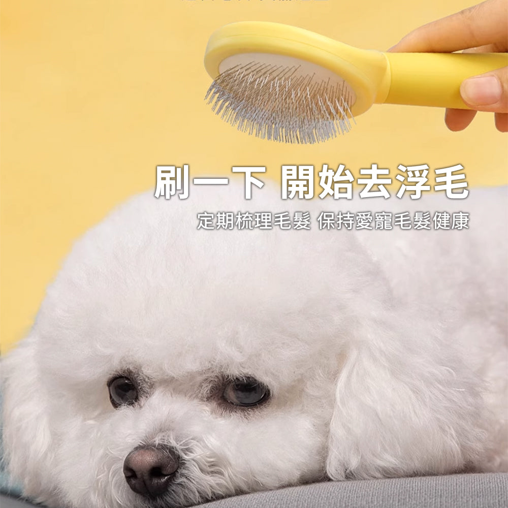 Sloppup 馬卡龍橢圓梳 狗狗梳毛專用梳子 毛髮美容梳 寵物解結去浮毛造型梳