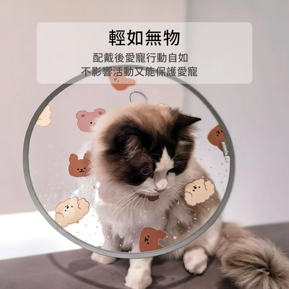 SHAME 印花透明伊莉莎白圈 貓咪 伊麗莎白圈 時尚 印花 透明PVC 狗狗 絕育 防舔咬 護理項圈 寵物用品