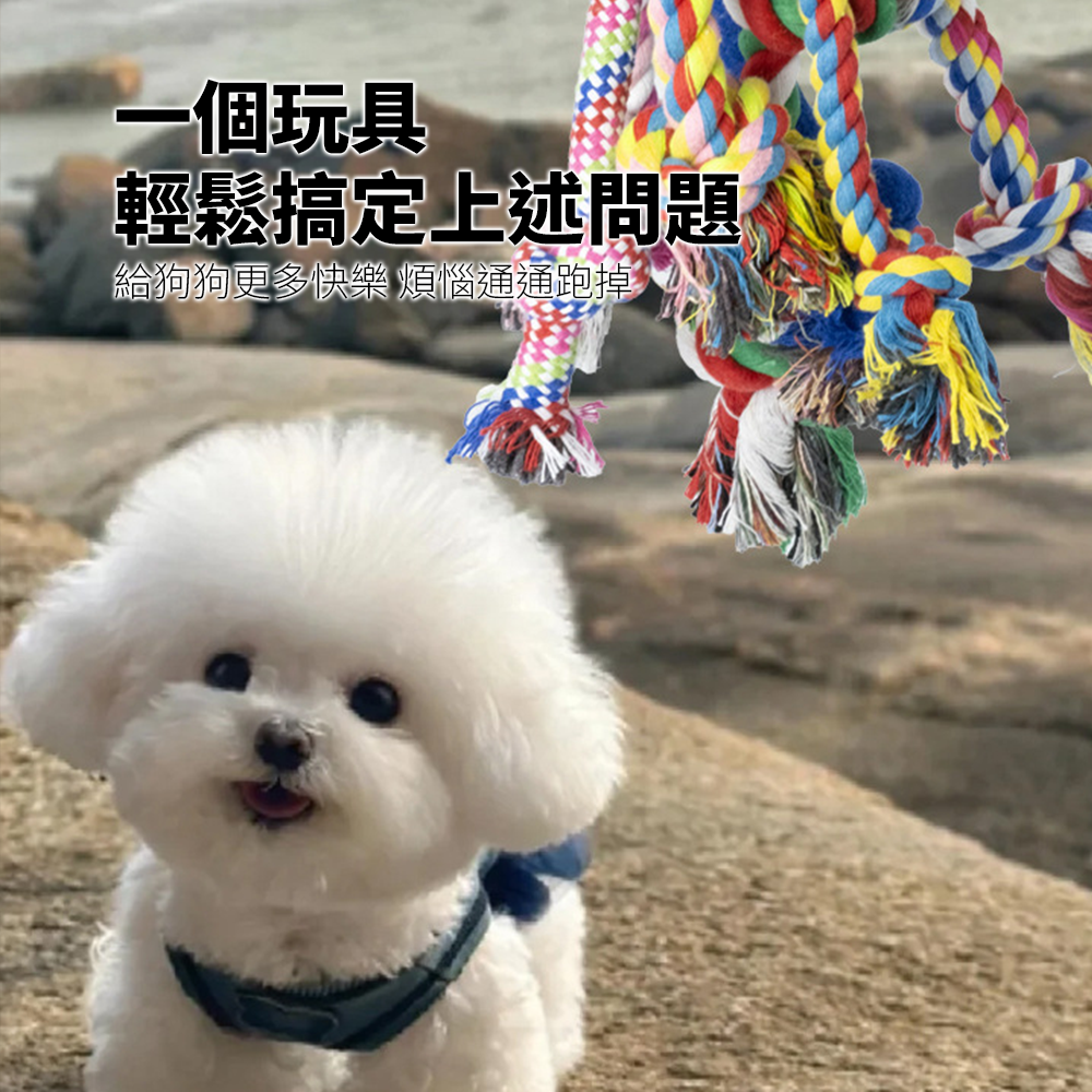ROOOPE 手工棉繩 中小型犬 寵物棉繩 寵物狗玩具 磨牙潔齒 狗狗專用拉扯玩具 批發狗咬耐用款