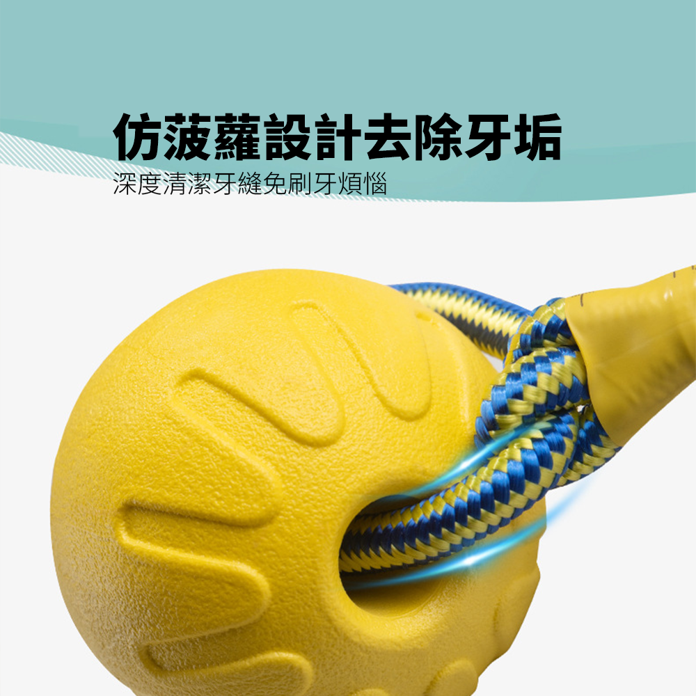 BIIITE 浮水耐咬玩具 寵物 玩具球 狗狗 浮水 訓犬 耐咬 磨牙 寵物球 穿繩球