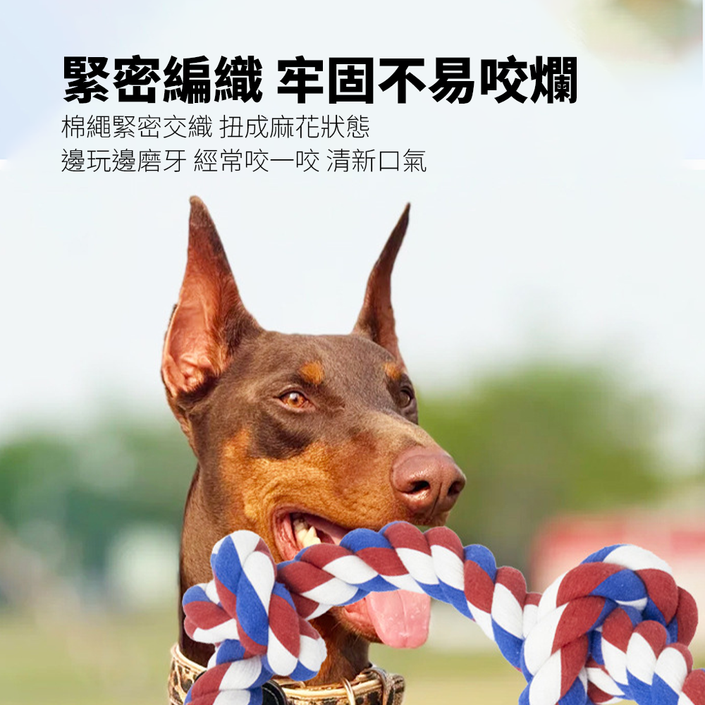 ROOOPE 手工棉繩 中大型犬 大狗狗玩具 寵物磨牙咬繩結 編織五結 寵物玩具 耐咬不易壞