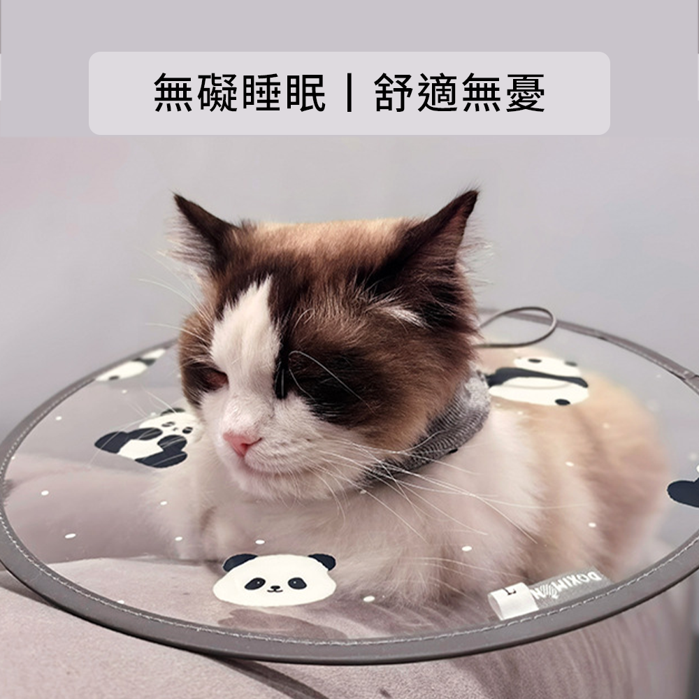 SHAME 印花透明伊莉莎白圈 貓咪 伊麗莎白圈 時尚 印花 透明PVC 狗狗 絕育 防舔咬 護理項圈 寵物用品