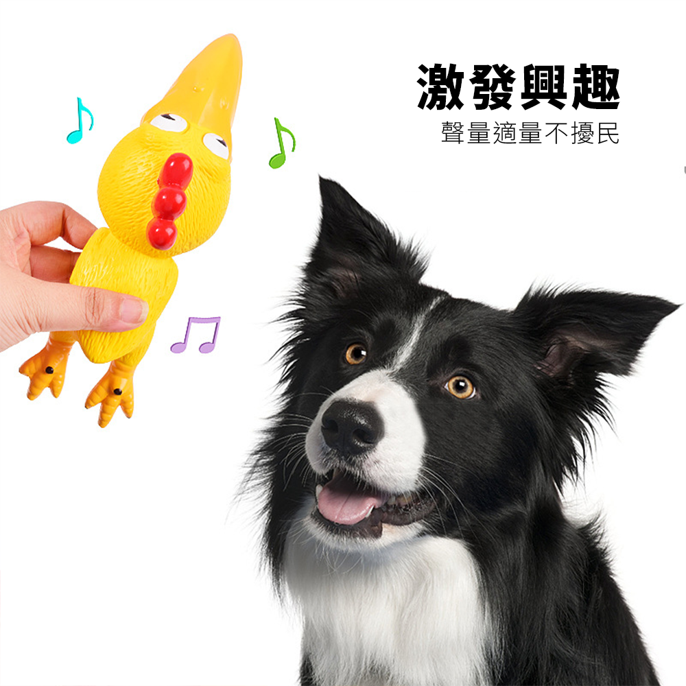 Bollo 大頭雞乳膠玩具 寵物狗玩具 乳膠發聲玩具 尖叫雞 發洩解悶 大頭雞 慘叫雞 狗狗玩具