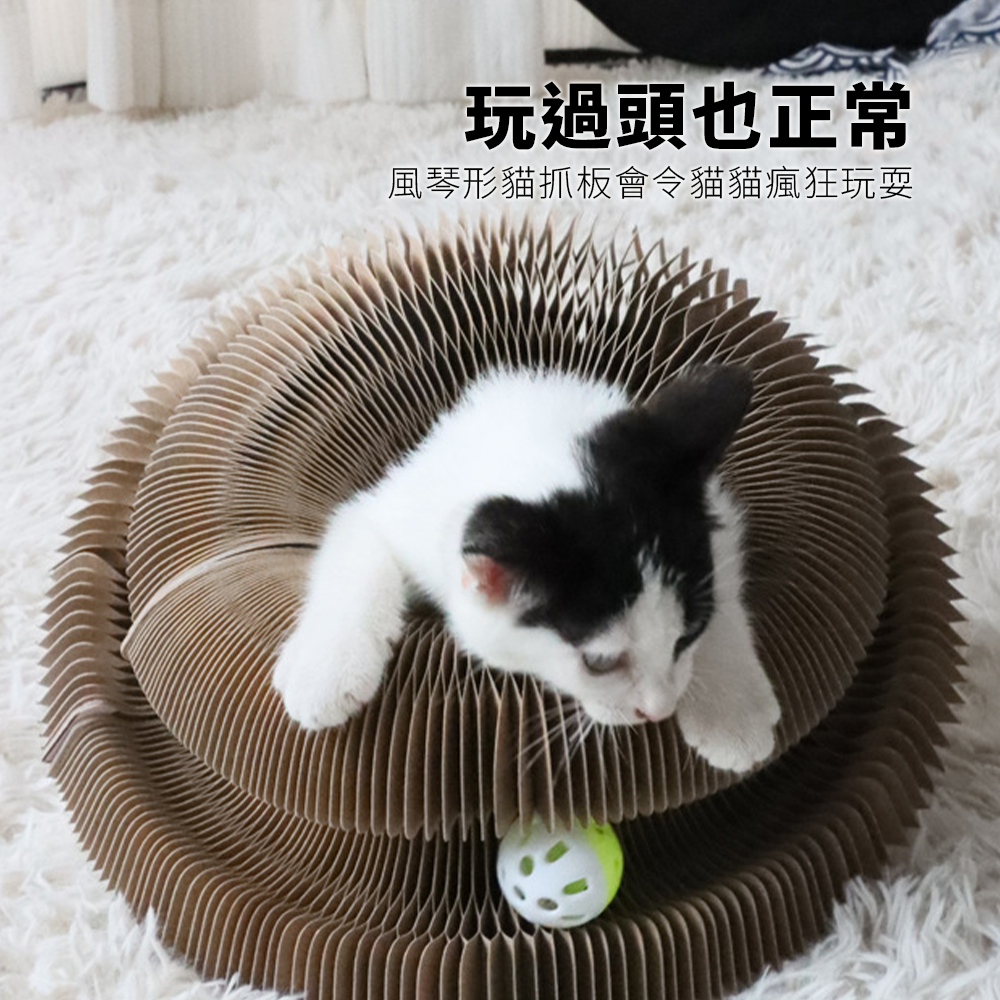 Scrapaw 風琴貓抓板 摺疊貓抓板 磁吸貓咪磨爪神器 耐磨耐抓 可變形 自嗨好物