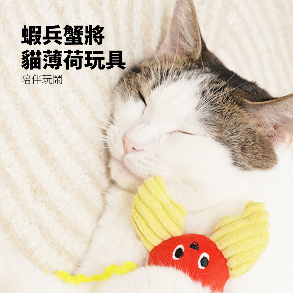 卡啦酷寵 假日衝浪貓玩具 貓咪玩具 自嗨解悶 貓薄荷 耐咬 幼貓磨牙 逗貓棒 寵物用品 貓咪玩具套裝