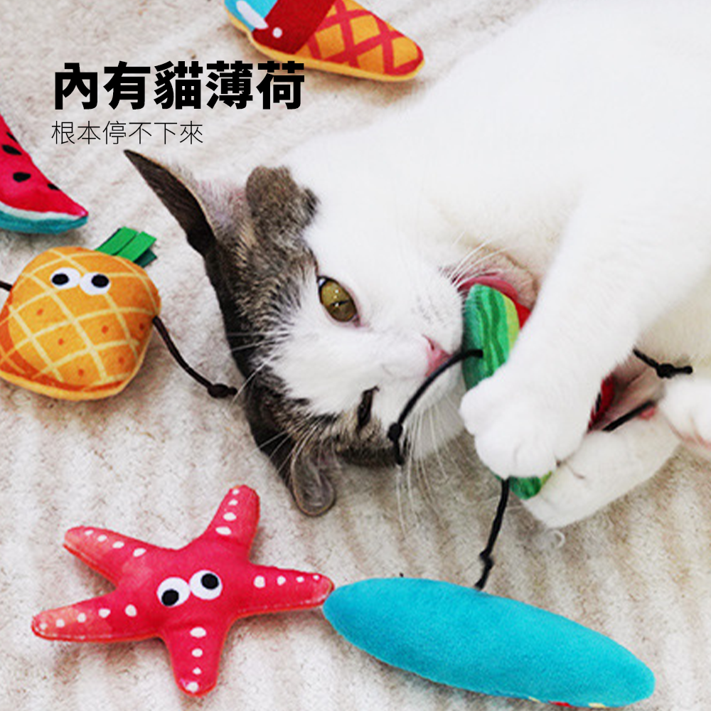 卡啦酷寵 假日衝浪貓玩具 貓咪玩具 自嗨解悶 貓薄荷 耐咬 幼貓磨牙 逗貓棒 寵物用品 貓咪玩具套裝