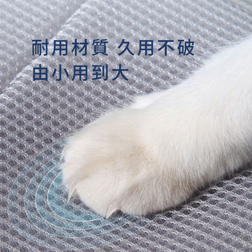 SHAME 透氣反光伊莉莎白圈 寵物 伊麗莎白圈 貓狗 防咬 防抓 保護套 透氣 沖孔 網布 美容罩 貓頸圈 項圈