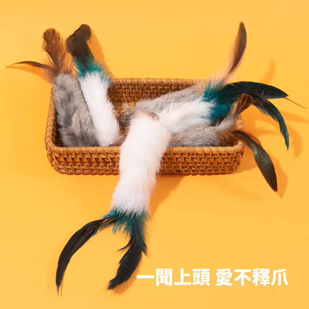 AHWOO 兔毛 蟲癭果 咬咬貓 玩具 貓玩具 天然兔毛蟲 癭果 羽毛 磨牙 啃咬 自嗨 解悶 自己玩 逗貓神器 貓咪