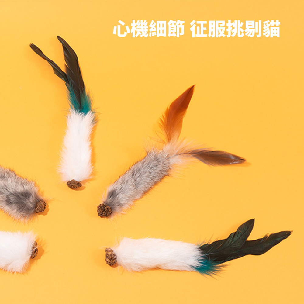 AHWOO 兔毛 蟲癭果 咬咬貓 玩具 貓玩具 天然兔毛蟲 癭果 羽毛 磨牙 啃咬 自嗨 解悶 自己玩 逗貓神器 貓咪