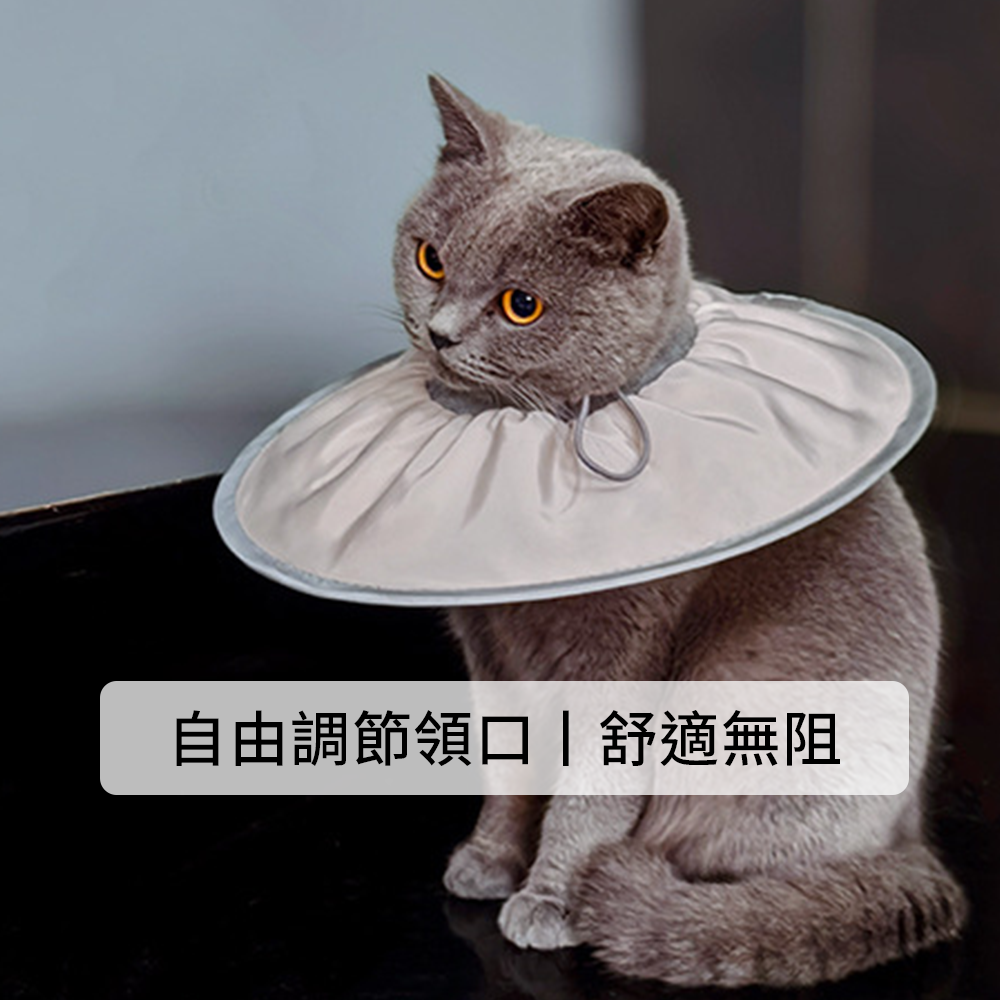 SHAME輕盈伊莉莎白圈 寵物 伊麗莎白圈 絕育 護理 項圈 貓咪 狗狗 美容 脖圈防 舔咬 小型犬頭套