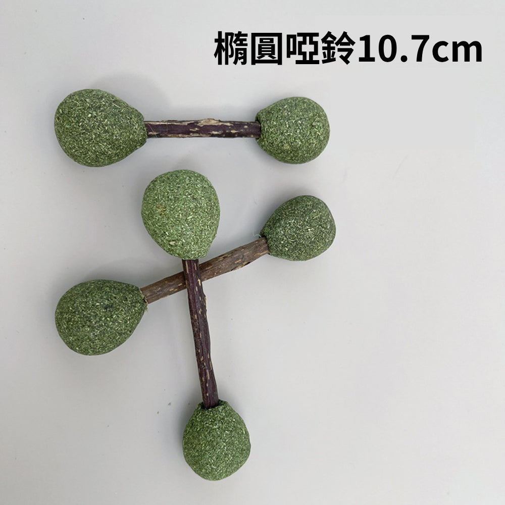 AAC貓薄荷球 貓草球 貓薄荷 貓咪玩具 貓草 貓玩具 逗貓棒 貓草棒 逗貓 木天蓼 逗貓玩具 貓草