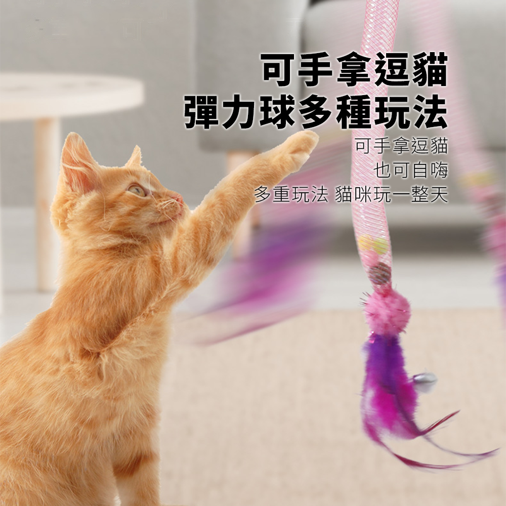NeeBoo 彈力軟管 貓玩具 彈力網 貓玩具 附貓薄荷球 蟲蟲 羽毛 逗貓棒 可伸縮 彈力 響鈴 逗貓玩具