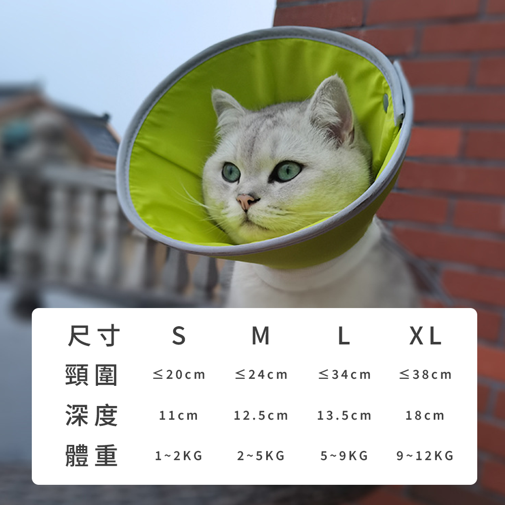 SHAME反光伊莉莎白圈 伊麗莎白圈 貓咪 防舔咬 頸圈 寵物 絕育 項圈 狗狗 術後 傷口 護理 項圈