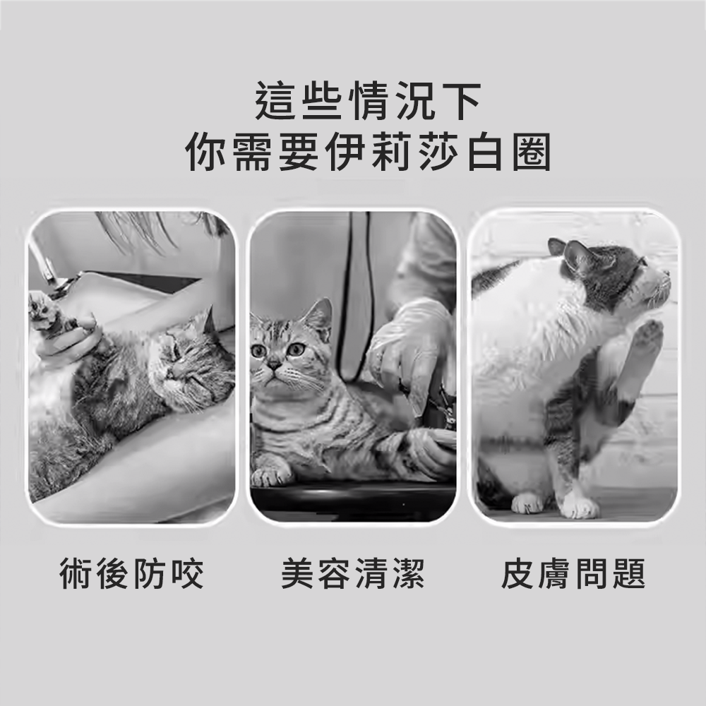 SHAME 透氣反光伊莉莎白圈 寵物 伊麗莎白圈 貓狗 防咬 防抓 保護套 透氣 沖孔 網布 美容罩 貓頸圈 項圈
