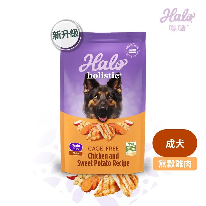 HALO 嘿囉 無穀犬糧全系列 3.5磅~21磅 (狗飼料 狗糧 幼犬 成犬 熟齡犬)