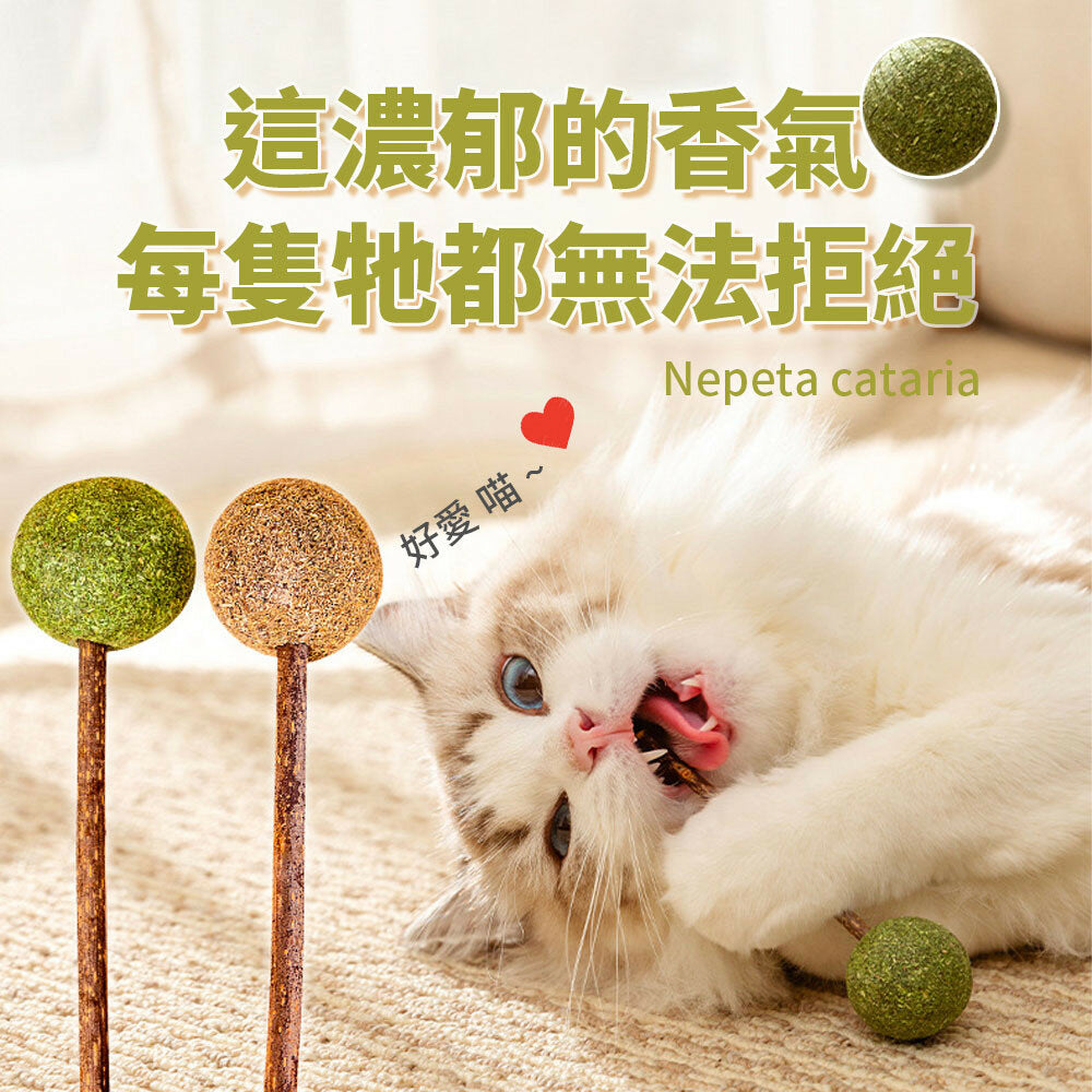 AAC貓薄荷串串玩具 貓薄荷棒棒糖 蟲癭果 貓薄荷 貓薄荷球 貓玩具 貓咪 貓 磨牙玩具 逗貓玩具 逗貓球 貓草 木天蓼