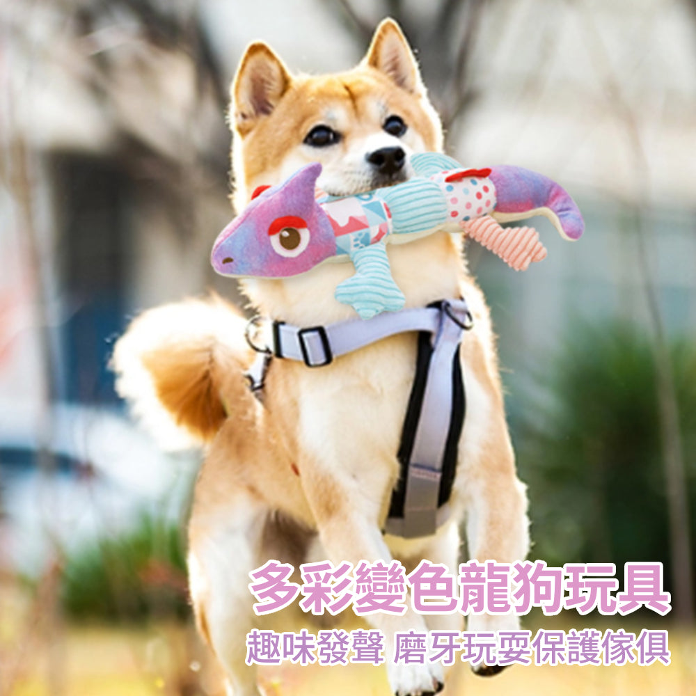 卡啦酷寵 變色龍 耐咬狗玩具 狗狗發聲玩具 寵物玩具 狗玩具 幼犬玩具 磨牙玩具 啾啾玩具 毛絨狗玩具 寵物咬咬玩具