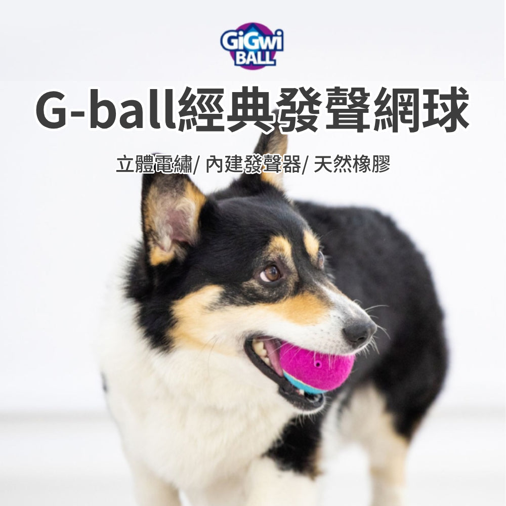 GIGWI GBALL寵物球 狗玩具 發聲網球 尋回球 狗狗玩具 寵物玩具 幼犬玩具 耐咬玩具 玩具磨牙