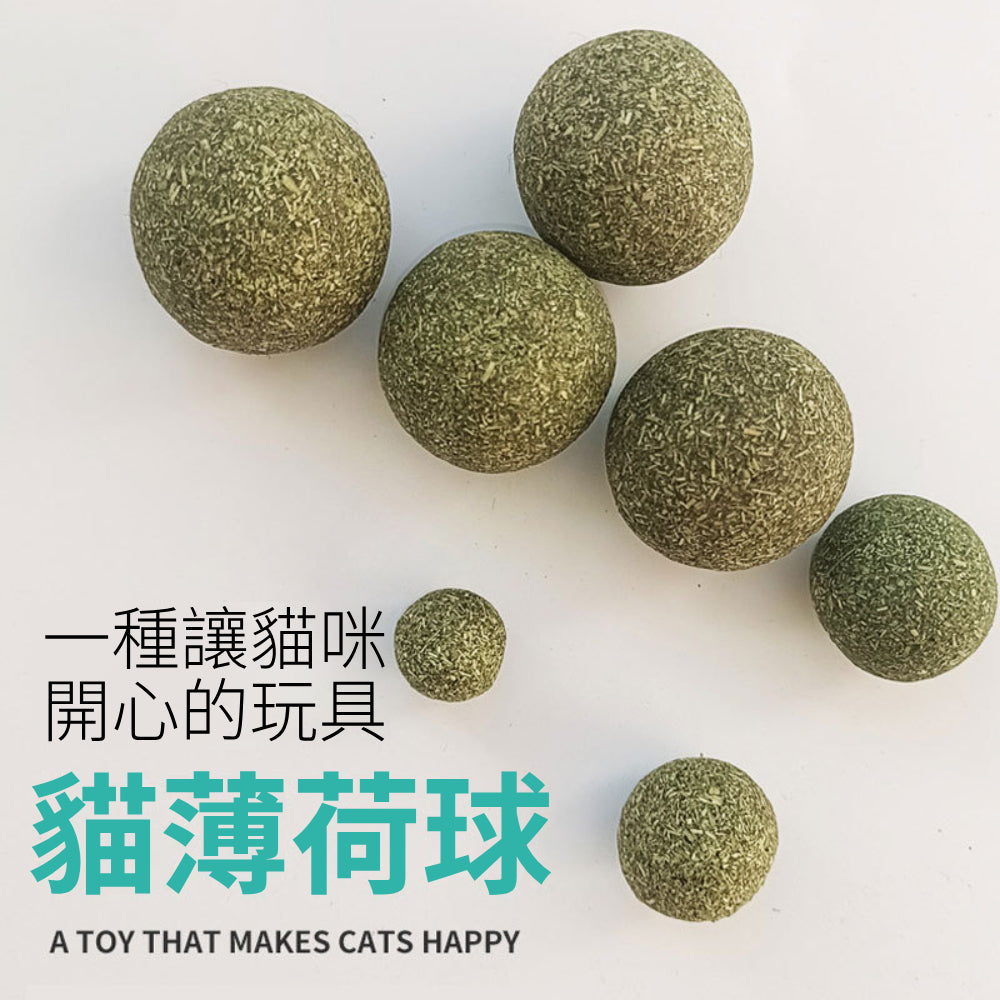 AAC貓薄荷球 貓草球 貓薄荷 貓咪玩具 貓草 貓玩具 逗貓棒 貓草棒 逗貓 木天蓼 逗貓玩具 貓草