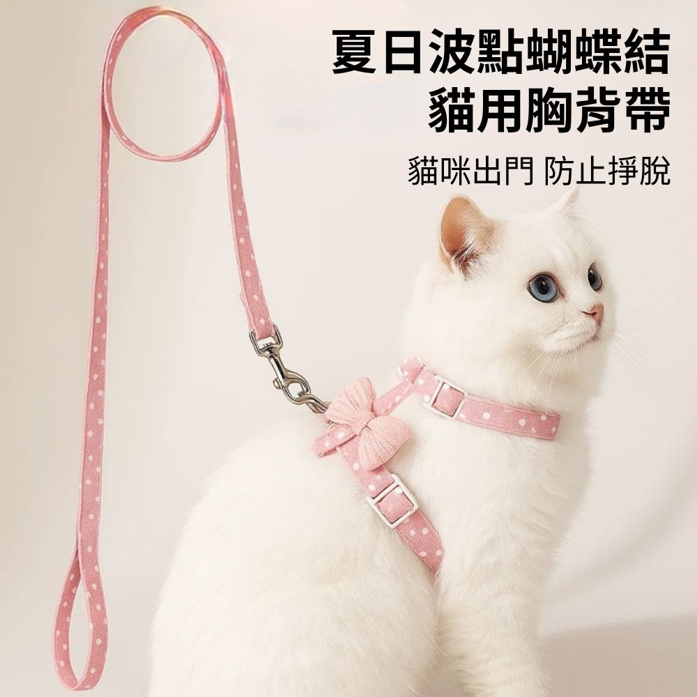 WWC夏日波點蝴蝶結貓用胸背帶 寵物牽繩 寵物胸背帶 貓用牽引繩套裝 遛貓繩 貓咪牽繩