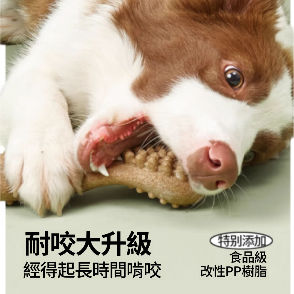 FOFOS狗狗磨牙棒 木塑狗狗玩具 耐咬玩具 幼犬潔齒 天然原木磨牙棒 寵物玩具 狗玩具 寵物潔牙