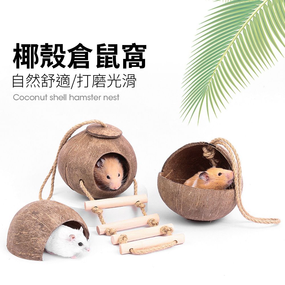 YEE椰殼倉鼠窩 倉鼠躲避屋 倉鼠椰子窩 天然椰子殼 倉鼠磨牙小屋 倉鼠籠內造景 倉鼠吊窩 倉鼠空中爬梯