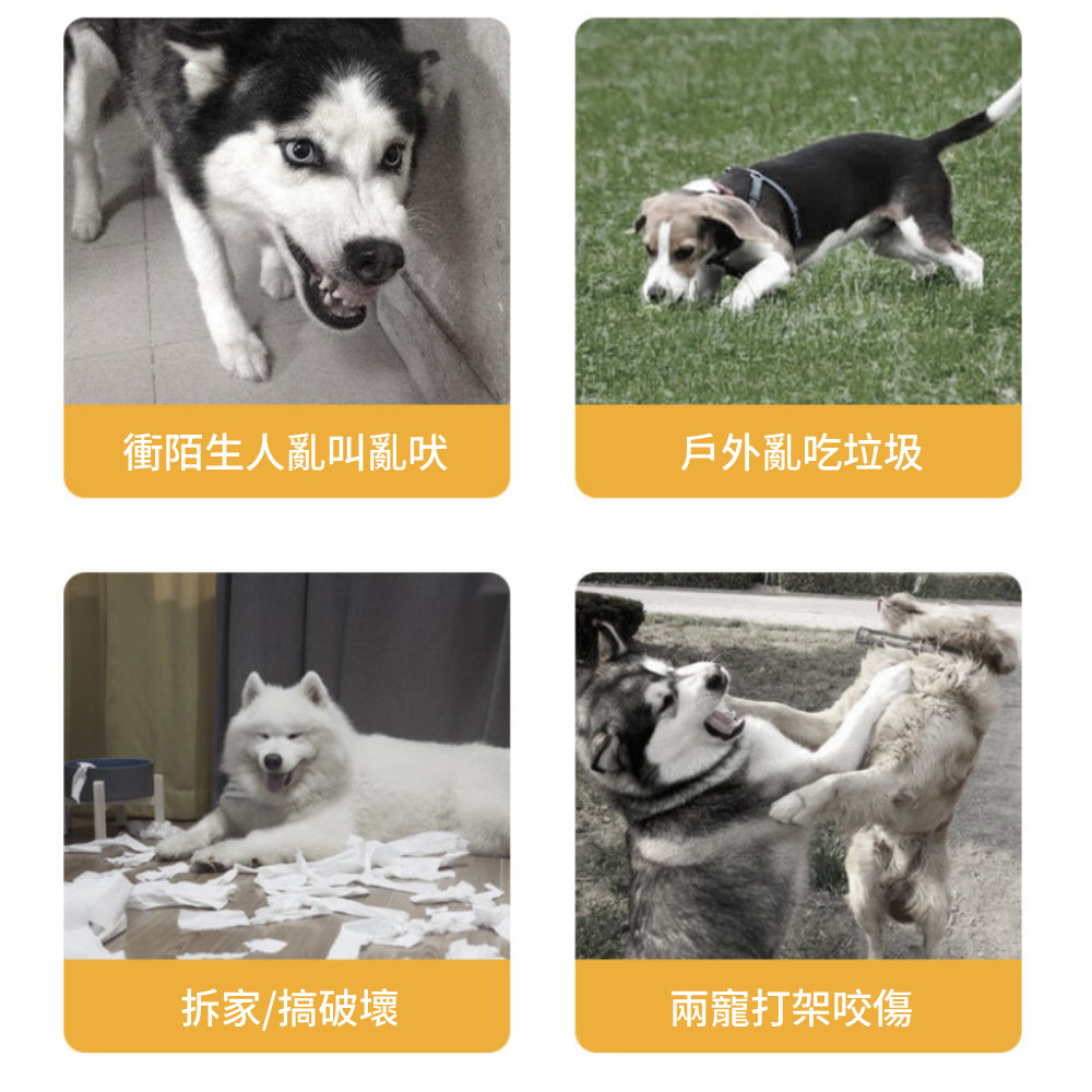 嘴套 寵物嘴套 狗嘴套 透氣嘴罩 防咬防叫嘴套 防誤食 可調節口罩 寵物口罩 狗狗口罩