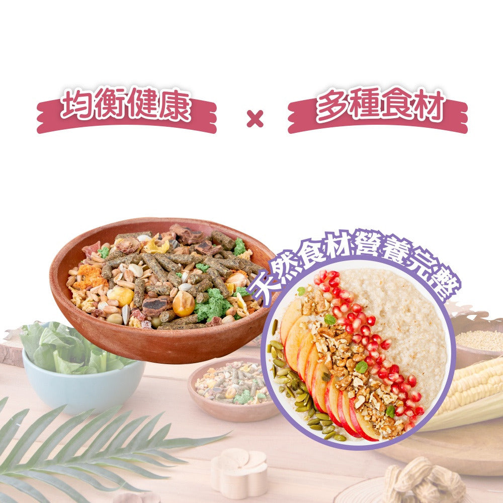AARMONTO 阿曼特 M 全鼠料 荷蘭特級機能全鼠類主食 寵物鼠蔬果主食