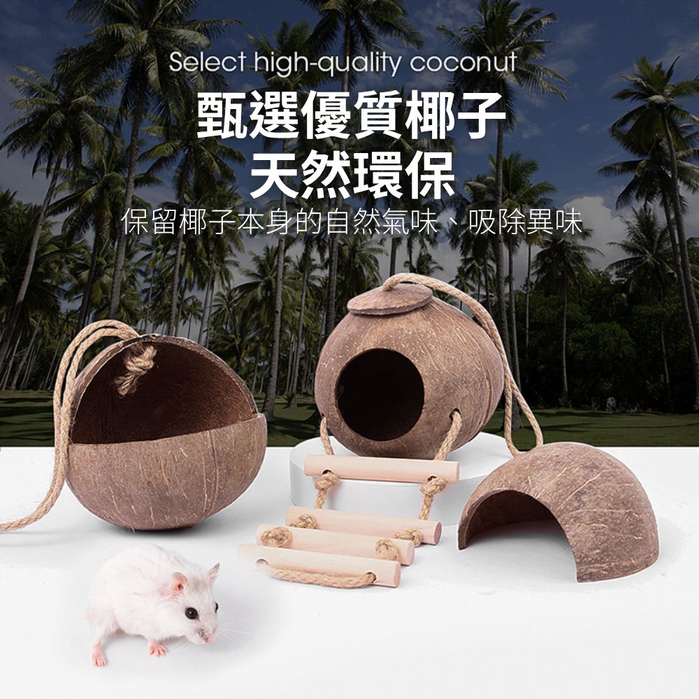 YEE椰殼倉鼠窩 倉鼠躲避屋 倉鼠椰子窩 天然椰子殼 倉鼠磨牙小屋 倉鼠籠內造景 倉鼠吊窩 倉鼠空中爬梯