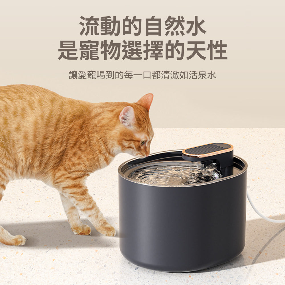 PETWATER 寵物智能飲水器 自動飲水器 碗 水碗 寵物用品 寵物飲水機 自動斷電 貓咪飲水機 過濾飲水器 USB供電